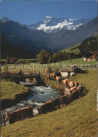 11864210 Adelboden Zueglete Engstligbach Wildstrubel Kuehe Adelboden BE - Sonstige & Ohne Zuordnung