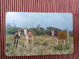 Phonecard Donkeys Used  Rare - Antillen (Niederländische)