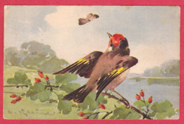 AC258 FANTAISIES FANCIES CHARDONNERET BIRDS OISEAU GOLDFINCHE PAPILLON BAIES AUBEPINE C.KLEIN UVACHROM N°4832 - Klein, Catharina