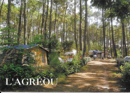 [40] Landes >  Seignosse Le Penon Domaine De L' Agreou - Andere & Zonder Classificatie