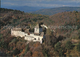 11863881 Stein Rhein Fliegeraufnahme Burg Hohenklingen Stein Am Rhein - Autres & Non Classés