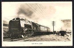 Pc The Royal Scot, 4-6-2 Locomotive No. 46250 City Of Lichfield  - Trenes