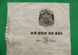 D-BE BELGIQUE Bruxelles 1871 Passeport AU NOM DU ROI DES BELGES - Historical Documents