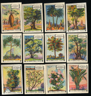 Meurisse - Ca 1930 - 76 - Les Arbres, Trees, 2e Série - Full Serie - Other & Unclassified