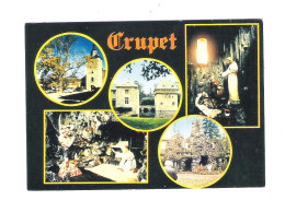 CRUPET    (14.396) - Assesse