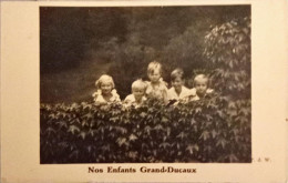 Luxembourg,Famille G.Ducale. - Grossherzogliche Familie