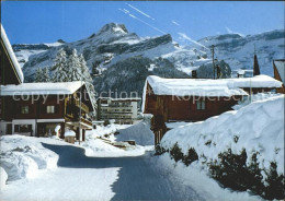 11862274 Les Diablerets Scex Rouge Ou La Montagne Aux Rubis  Les Diablerets - Autres & Non Classés