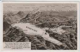 CARTOLINA DI BODENSEE - Baden-Wuerttemberg -  FORMATO PICCOLO - Sonstige & Ohne Zuordnung