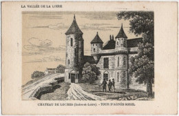 37. Château De LOCHES. Tour D'Agnès Sorel - Loches