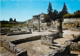 VAISON LA ROMAINE Fouille De La Villasse, Au Fond, L' Ancienne Residence Des Eveques 24(scan Recto Verso)MF2701 - Vaison La Romaine