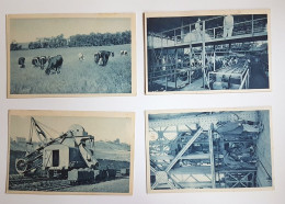 CARMAUX - Lot De 4 Cartes - Mines De Carmaux (vaches Laitieres, Criblages, Excavateur, Remontée) - Carmaux