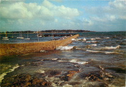 CONCARNEAU Du Port De Peche A La Plage Des Sables 18(SCAN RECTO VERSO)MF2712 - Concarneau