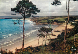 La Plage Du Ris Et La Baie De DOUARNENEZ 17(Scan Recto Verso)MF2717 - Douarnenez