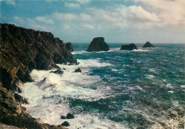 CAMARET Les Tas De Pois Par Mer Agitee A La Pointe De Pen Hir 22( SCAN RECTO VERSO)MF2717 - Camaret-sur-Mer