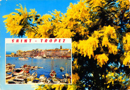 SAINT TROPEZ  Mimosa  6 (scan Recto Verso)MF2718BIS - Saint-Tropez