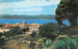 SAINT TROPEZ Vue Generale   18 (scan Recto Verso)MF2718BIS - Saint-Tropez