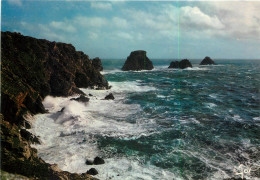 CAMARET Les Tas De Pois Par Mer Agitée à La Pointe De Pen Hir 29(scan Recto Verso)MF2720 - Camaret-sur-Mer