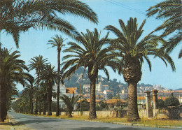 HYERES Les PALMIERS  Avenue Alexis GODILLOT  37 (scan Recto VersoMF2721BIS - Hyeres