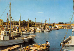 HYERES Les PALMIERS  Le Port De Pêche  39 (scan Recto Verso)MF2721BIS - Hyeres