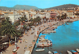 SANARY Sur MER  Vue Sur Les Pointus  3 (scan Recto Verso)MF2721TER - Sanary-sur-Mer