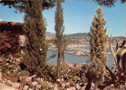 SANARY Sur MER  Jardin Fleuri  6 (scan Recto Verso)MF2721TER - Sanary-sur-Mer