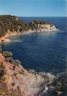 BORMES Les MIMOSAS  Le Cap BENAT  23 (scan Recto Verso)MF2721TER - Bormes-les-Mimosas