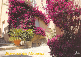 BORMES Les MIMOSAS  Une Ruelle Fleurie  30 (scan Recto Verso)MF2721TER - Bormes-les-Mimosas