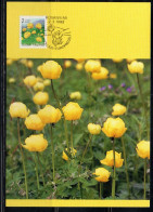 SUOMI FINLAND FINLANDIA FINLANDE 1990 1992 FLORA PROVINCIAL FLOWERS WOOD ANEMONE FLOWER 2m MAXI MAXIMUM CARD - Maximumkaarten