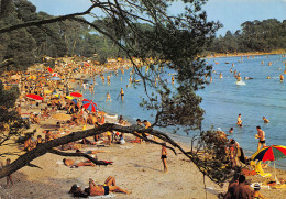 LA LONDE Plage De L'estagnol  2 (scan Recto Verso)MF2722UND - La Londe Les Maures