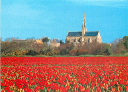 SAINT JEAN TROLIMON La Chapelle Notre-Dame De Tronoen Au Milieudes Tulipes Au Mois D' Avril 17( Scan Recto Verso) MF2723 - Saint-Jean-Trolimon