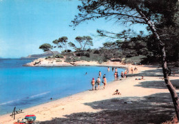 Ile De Porquerolles La Plage D' ARGENT  3 (scan Recto Verso)MF2724BIS - Porquerolles