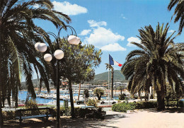 SAINTE MAXIME SUR MER  Le Square Des Palmiers  11 (scan Recto Verso)MF2724BIS - Sainte-Maxime