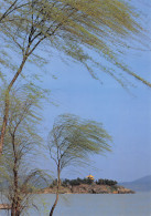 CHINE China 中国   Spring On The Three Islands In TAIHU LAKE 18 (scan Recto Verso)MF2724TER - Cina