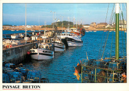 Flotille De Peche Et Casiers A Crustaces Au Port De Roscoff 14(scan Recto Verso)MF2725 - Roscoff