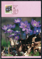 SUOMI FINLAND FINLANDIA FINLANDE 1990 1992 FLORA PROVINCIAL FLOWERS SELF ADESIVE FLOWER 1st MAXI MAXIMUM CARD - Cartoline Maximum