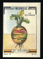 Meurisse - Ca 1930 - 77 - Les Légumes, Vegetables - 12 - Le Rutabaga - Sonstige & Ohne Zuordnung