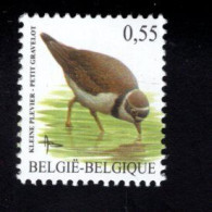 1920195675 2004 SCOTT 1975 OCB 3267  (XX) POSTFRIS MINT NEVER HINGED  - BIRDS - PETIT GRAVELOT KLEINE PLEVIER - Ongebruikt