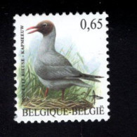 1920196434 2004 SCOTT 1976 OCB 3268  (XX) POSTFRIS MINT NEVER HINGED  - BIRDS - MOUETTE RIEUSE KAPMEEUW - Ongebruikt