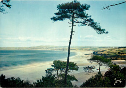 DOUARNENEZ La Plage Du Ris 11(scan Recto Verso)MF2731 - Douarnenez