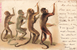 FANTAISIES - Des Chimpanzés écrivant Sur Le Mur - Colorisé - Carte Postale Ancienne - Sonstige & Ohne Zuordnung