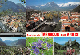 TARASCON SUR ARIEGE   22 (scan Recto Verso)MF2732UND - Foix