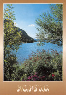 NANTUA Le Lac  42 (scan Recto Verso)MF2734VIC - Nantua