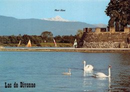 DIVONNE LES BAINS  Le Lac Et Le Mont Blanc  9 (scan Recto Verso)MF2740TER - Divonne Les Bains