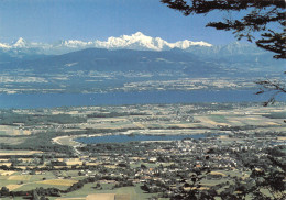 DIVONNE LES BAINS  Panorama Sur Le Lac Léman  8 (scan Recto Verso)MF2740TER - Divonne Les Bains