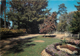 CHATEAUROUX Le Jardin Public 5(scan Recto Verso)MF2742 - Chateauroux