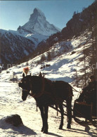 11856102 Zermatt VS Mit Matterhorn Pferdeschlitten  - Autres & Non Classés