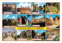 45 Chateaux Du Loiret  35 (scan Recto Verso)MF2748TER - Artenay