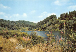 08  Rivières Et Forêts Des ARDENNES  22 (scan Recto Verso)MF2750BIS - Montherme