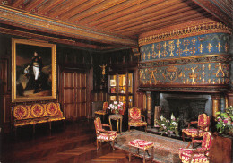 AINAY LE VIEIL Le Chateau Le Grand Salon Et Cheminée Renaissance 26 (scan Recto Verso)MF2752BIS - Ainay-le-Vieil