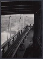 San Fruttuoso Di Camogli, A Bordo Del Traghetto, 1960 Fotografia Vintage - Places